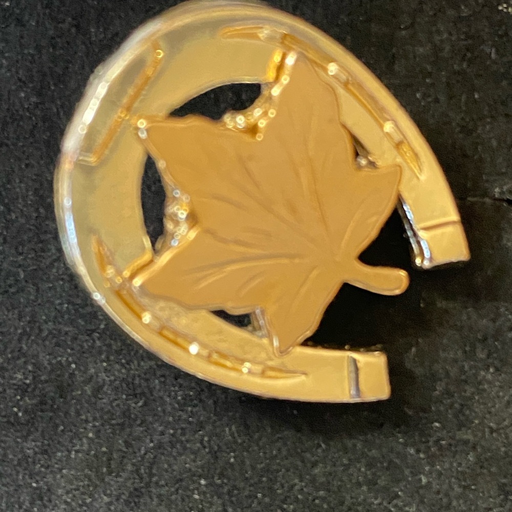 Canadian 1 inch Maple Leaf Horseshoe Brooch or Pin - Picture 6 of 6